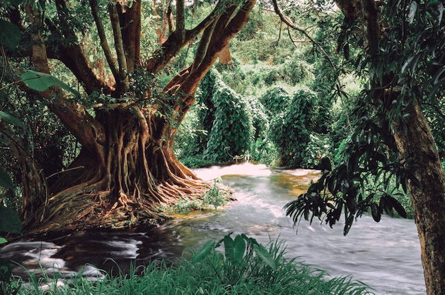 Quảng bá công viên địa chất toàn cầu UNESCO Đắk Nông trong ISV 20 
