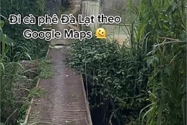 Đi cà phê ở Đà Lạt, đôi bạn "trekking đường mương" vì lỡ tin chỉ dẫn của "chị Google"