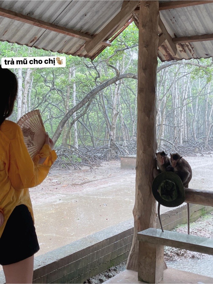 Hoa hậu Mai Phương Thúy đổi gió ở Cần Giờ, check-in rừng Sác