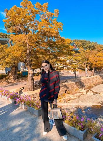 Chiêm ngưỡng vẻ đẹp của mùa lá vàng Hàn Quốc tại 6 địa điểm nổi bật