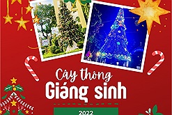 Loạt cây thông độc đáo đón Giáng sinh 2022: Những cây thông khổng lồ làm bằng vỏ lon, nón lá...