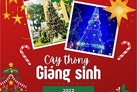 Loạt cây thông độc đáo đón Giáng sinh 2022: Những cây thông khổng lồ làm bằng vỏ lon, nón lá...
