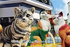 Linh vật Tết Quý Mão khắp các tỉnh thành đã được ''trình làng'', mèo Quảng Trị giữ vững vị trí "chánh cung"