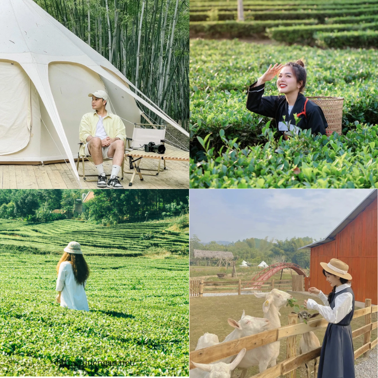 Có một địa điểm tại Bắc Giang đẹp mê hồn khiến dân du lịch mê đắm đến "sống ảo"