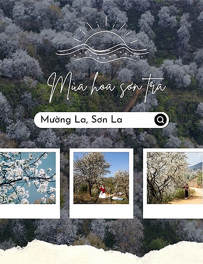 Tháng 3 gọi mời bạn đến ngắm hoa sơn tra nở trắng những triền núi Mường La