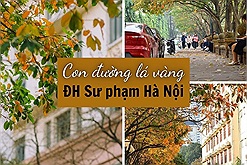 Khi tiết trời báo hiệu thời khắc "hạ tới xuân đi" đang đến, con đường lá vàng trường Đại học Sư phạm Hà Nội lại tấp nập như phim trường