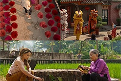 Ngắm cảnh đẹp Việt Nam từ Nam chí Bắc qua những thước phim của Hollywood