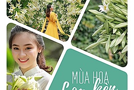 "Tháng Tư về gió hát mùa hè" là lúc thiếu nữ Hà thành lại rủ nhau đi tìm những background hoa loa kèn trắng tinh khôi