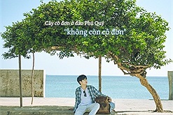Hàng chục người xếp hàng mỗi ngày chờ được chụp hình, cây cô đơn ở đảo Phú Quý đã ''không còn cô đơn"