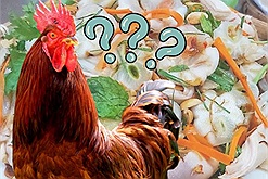 Không phải măng cụt, những chú gà mới cần giải cứu lúc này khi có quá nhiều món gỏi cho hè năm nay