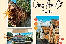 Ngôi làng cổ kính ở Thái Bình gây sốt cộng đồng mạng: "Nét đẹp hoài cổ, thanh bình, đậm chất làng quê vùng đồng bằng Bắc Bộ"