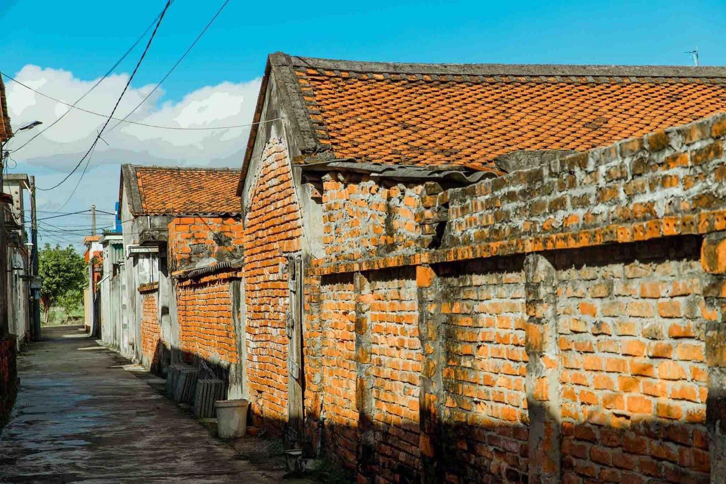 Ngôi làng cổ kính ở Thái Bình