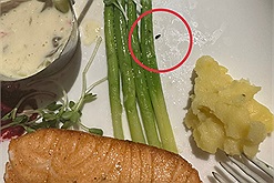 Khách tố có phân chuột trong đĩa thức ăn, nhà hàng "gân cổ cãi" chỉ là tỏi cháy?