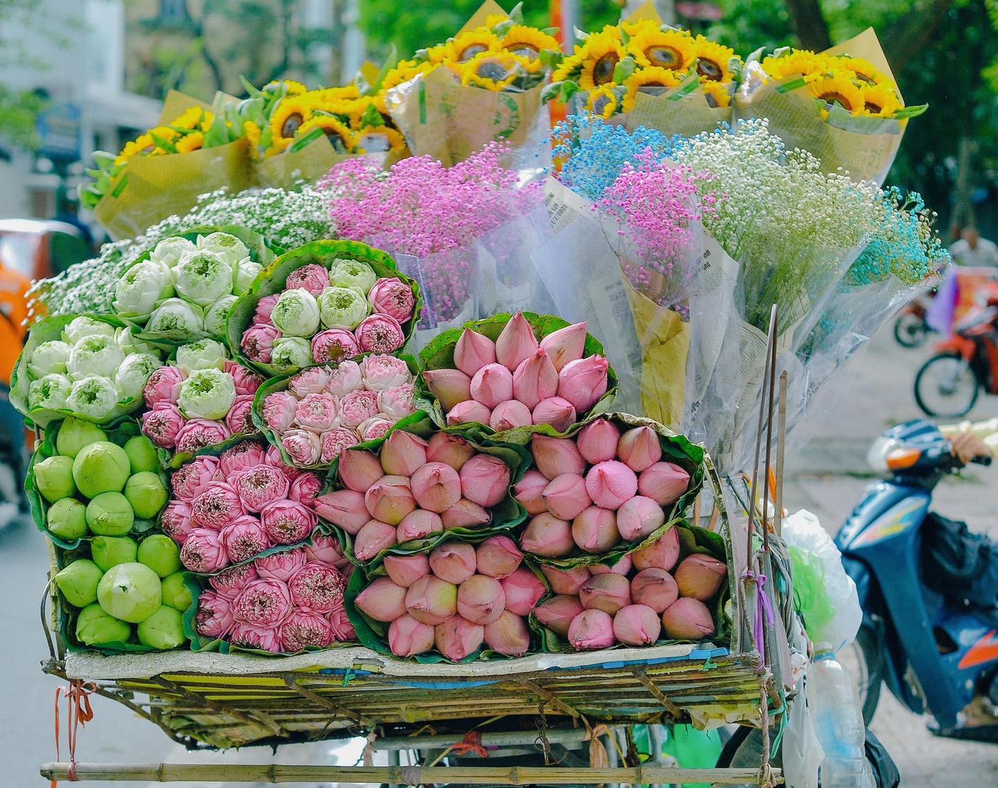 Cộng đồng mạng chia sẻ sự mê mẩn những gánh hoa trên phố Hà Nội: "Những điều bình bị mà thành phố khác không có"