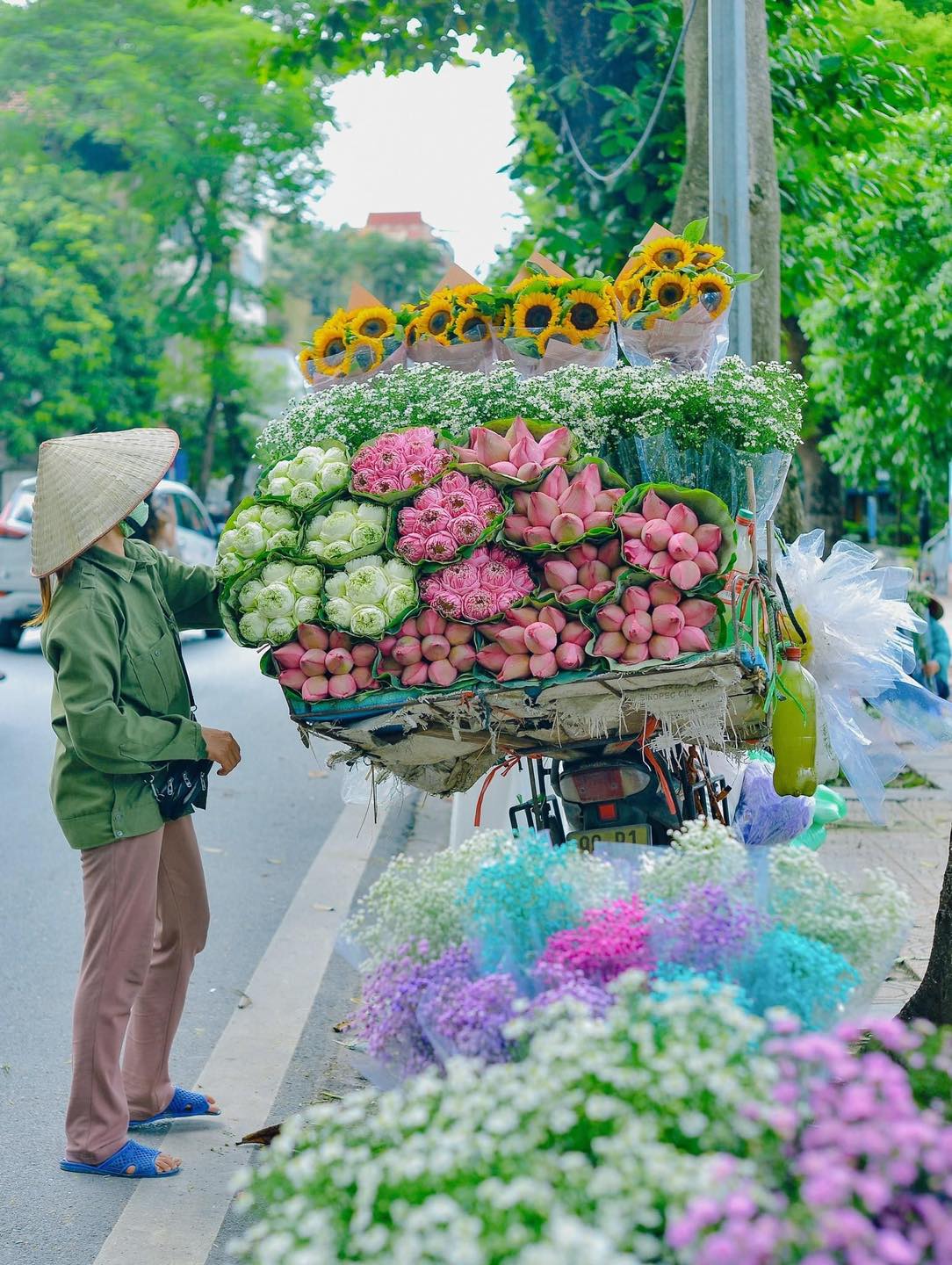 Cộng đồng mạng chia sẻ sự mê mẩn những gánh hoa trên phố Hà Nội: "Những điều bình bị mà thành phố khác không có"