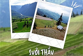 Đến với Suôi Thầu, miền đất trong xanh như cổ tích được ví von là "thảo nguyên Thụy Sĩ giữa lòng Hà Giang"