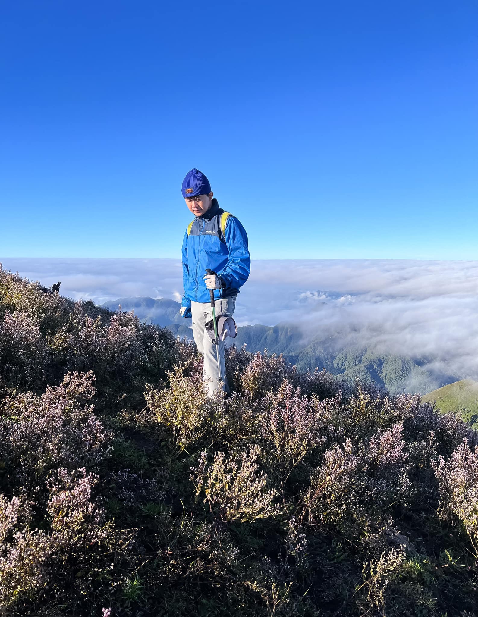 Săn mây vào mùa hoa tím Chi Pâu trên ngọn núi Tà Chì Nhù – Yên Bái 2