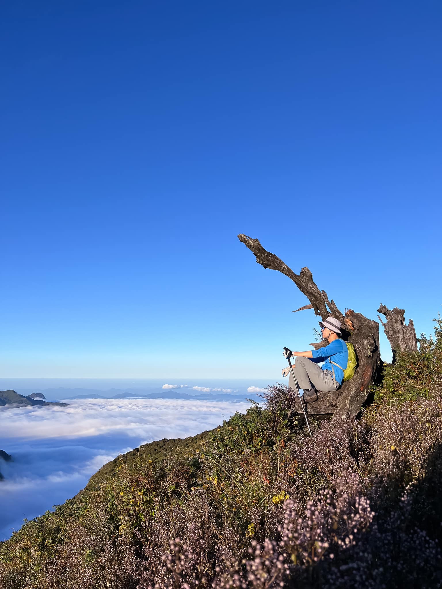 Săn mây vào mùa hoa tím Chi Pâu trên ngọn núi Tà Chì Nhù – Yên Bái 5