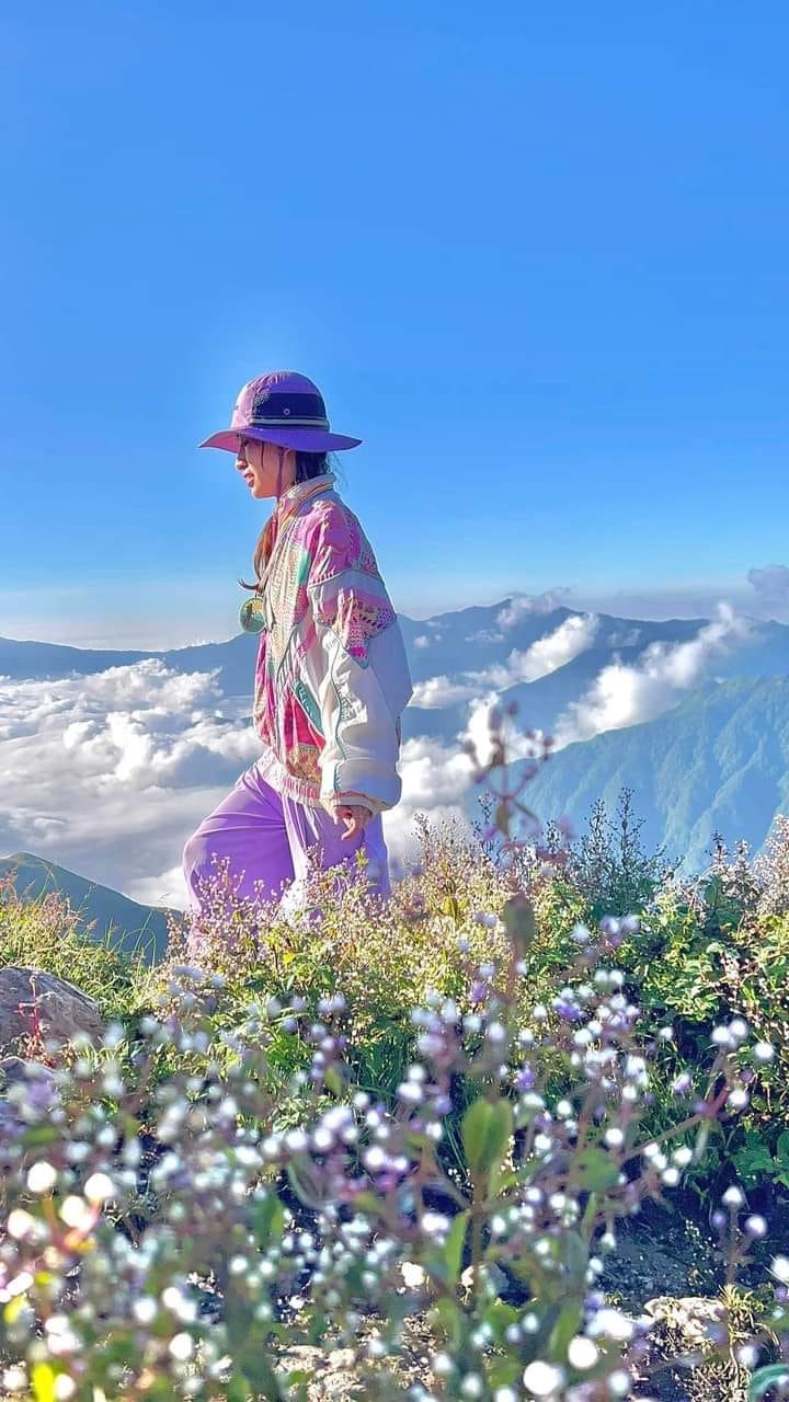 Săn mây vào mùa hoa tím Chi Pâu trên ngọn núi Tà Chì Nhù – Yên Bái  1