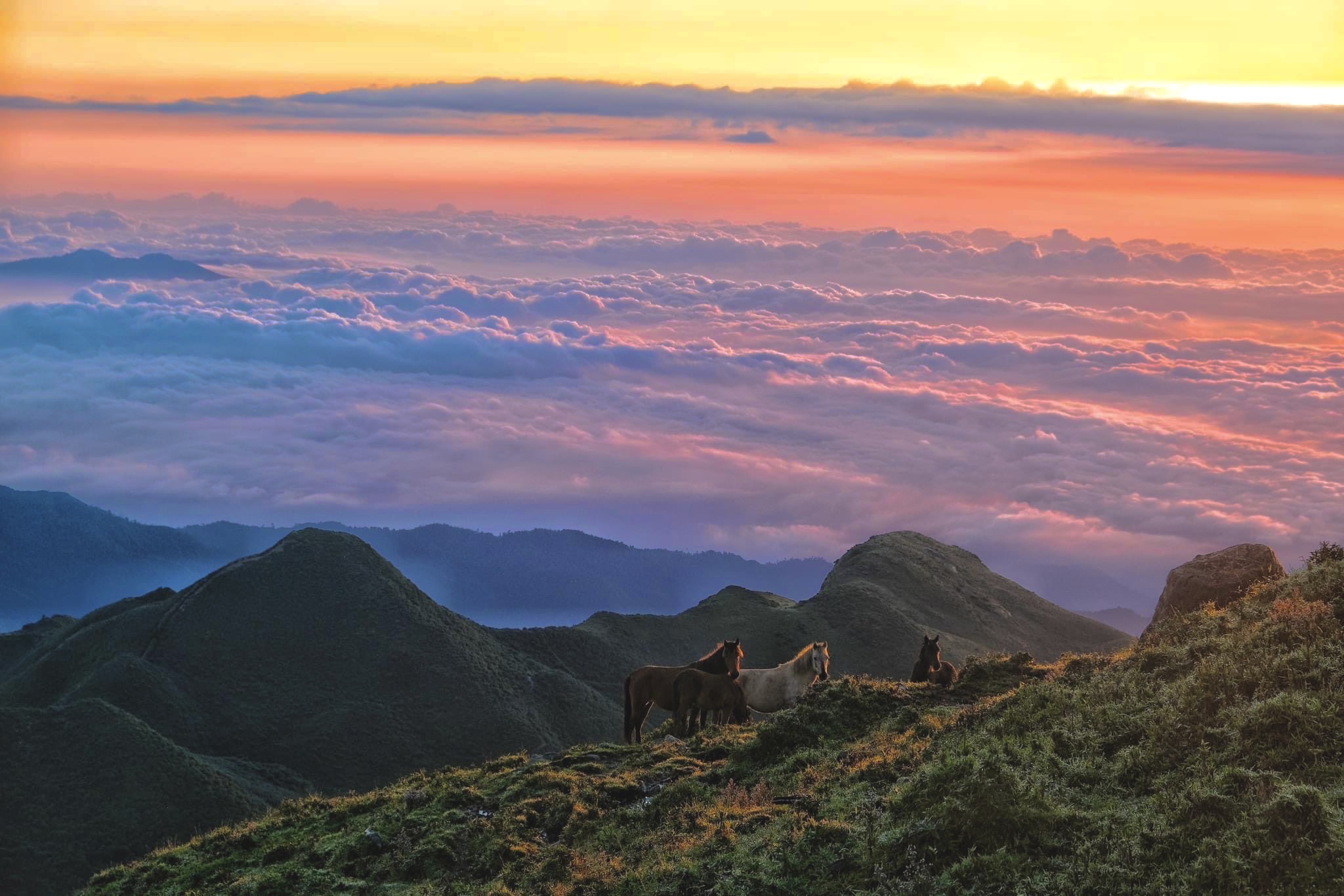 Top 13 điểm săn mây đẹp nhất Việt Nam đầy đủ nhất đi từ Bắc vào Nam 13