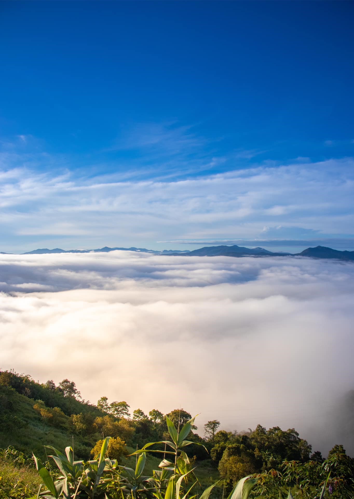 Top 13 điểm săn mây đẹp nhất Việt Nam đầy đủ nhất đi từ Bắc vào Nam 15