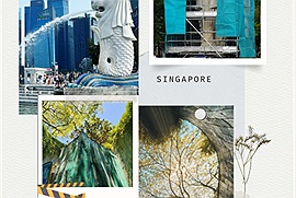 Thực hư thông tin biểu tượng Singapore - Tượng Merlion và cầu thang xoắn công viên Fort Canning đang sửa chữa?