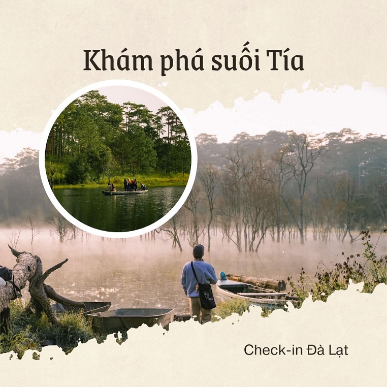 Khám phá suối Tía, Đà Lạt với cái lạnh buổi sớm khác lạ trong rừng cây ngập nước