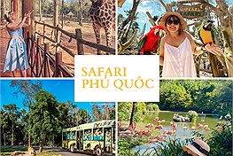 Tổng hợp kinh nghiệm chi tiết nhất về Vin Safari Phú Quốc