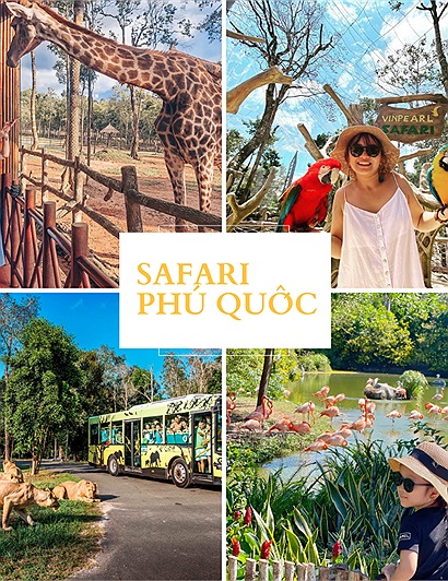 Tổng hợp chi tiết nhất về kinh nghiệm khám phá Vin Safari Phú Quốc