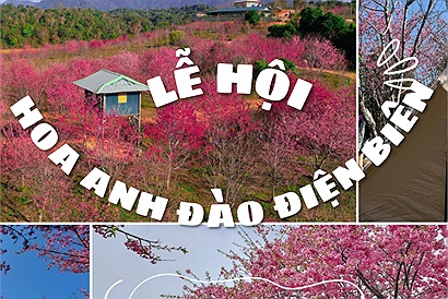 Tết 2024 không cần đi Nhật vẫn có lễ hội hoa anh đào, mà ngay tỉnh miền núi phía Bắc tại Việt Nam
