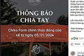 Cộng đồng mạng không ngừng xôn xao trước thông tin Chika Farm Đà Lạt đóng cửa