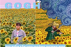 Cánh đồng hoa hướng dương Nghệ An như trong tranh Van Gogh được mệnh danh là đẹp nhất Việt Nam