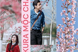 Top 10 địa điểm săn hoa anh đào ở Mộc Châu: Đồi hoa Sakura mới này chưa chắc bạn đã biết!