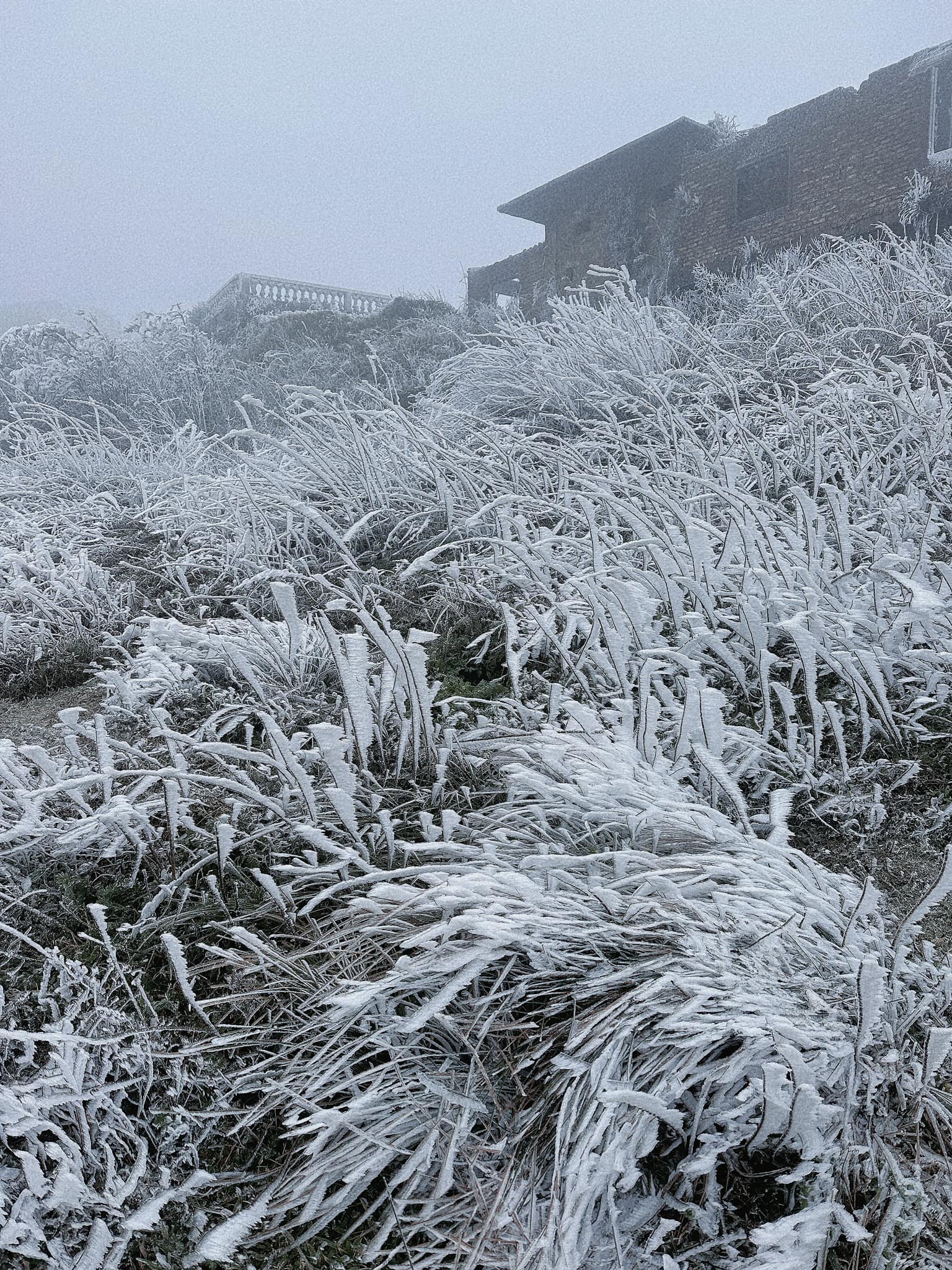 đỉnh Mẫu Sơn đang đóng băng rất dày
