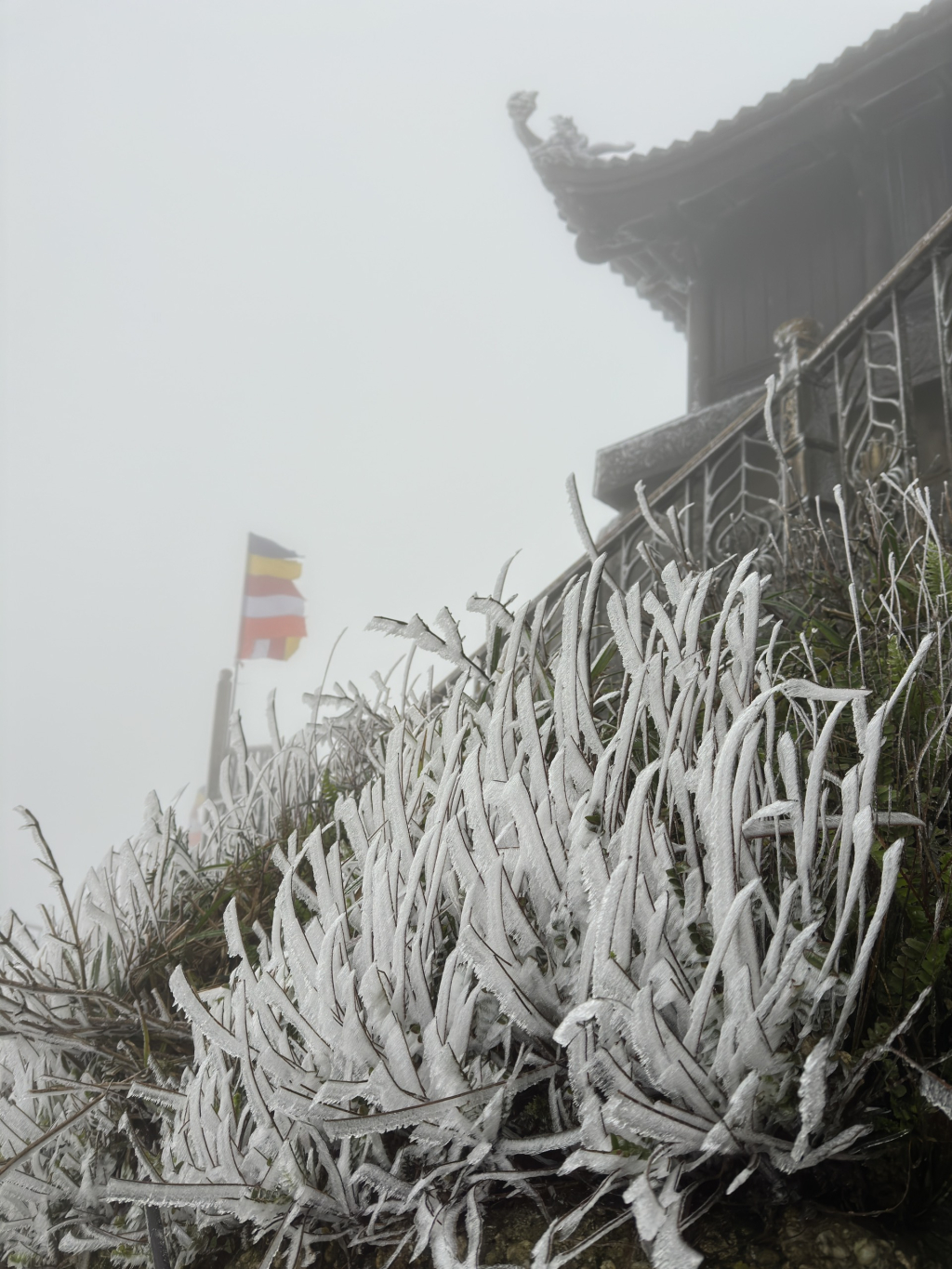 đỉnh Mẫu Sơn đang đóng băng rất dày