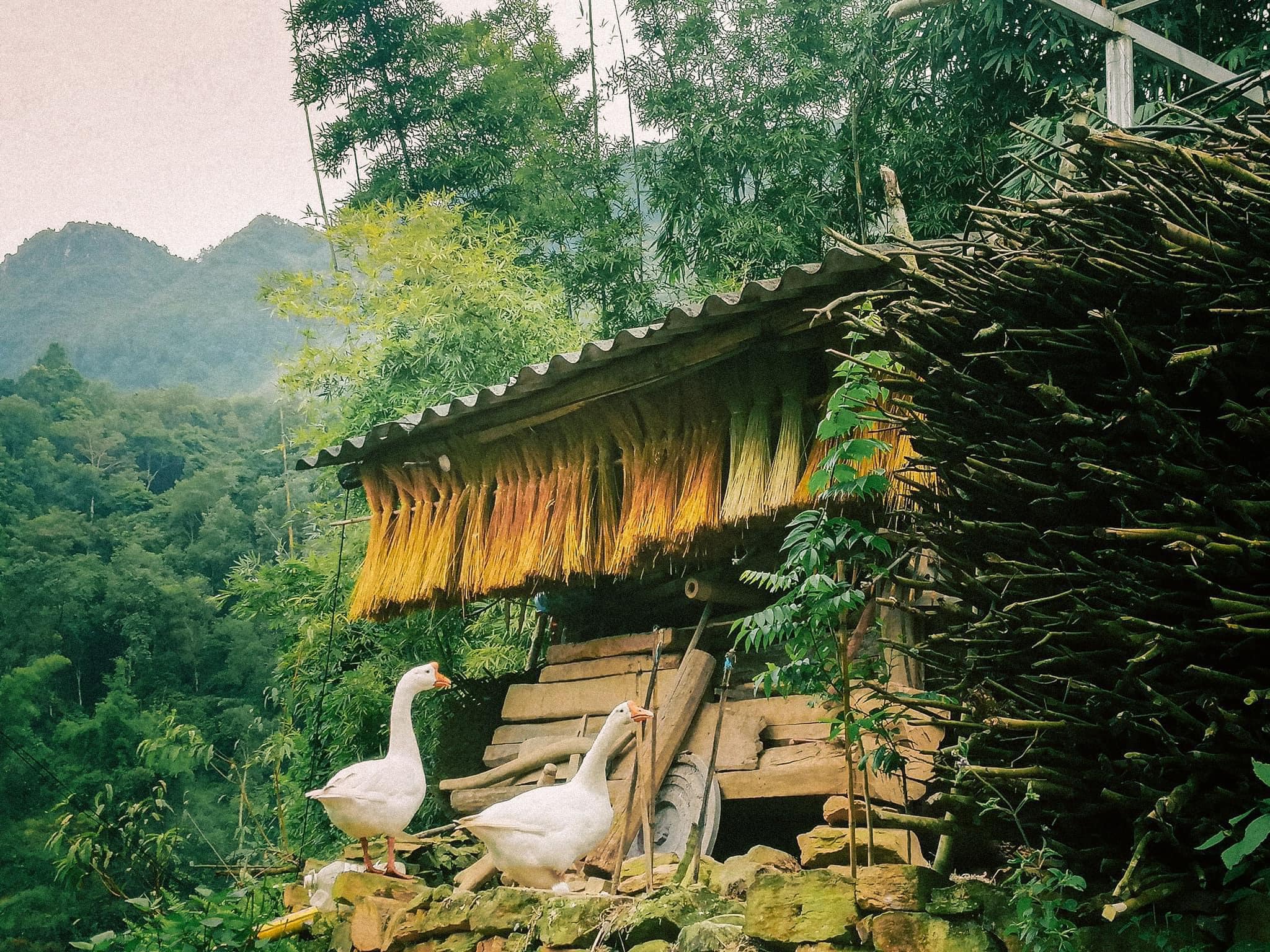 tìm sự bình yên nơi làng cổ Thiên Hương