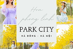 Con đường hot nhất Hà Nội lúc này gọi tên con đường hoa phong linh tại Park City vàng rực đẹp tựa phim Hàn Quốc
