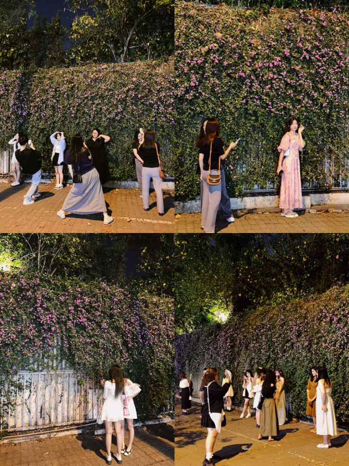 12 giờ đêm hàng chục “nàng thơ” vẫn bon chen bằng được bức tường hoa 