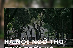 Hà Nội những ngày lá vàng rụng đầu hè mà ngỡ cuối thu, trời đất đẹp ngỡ ngàng