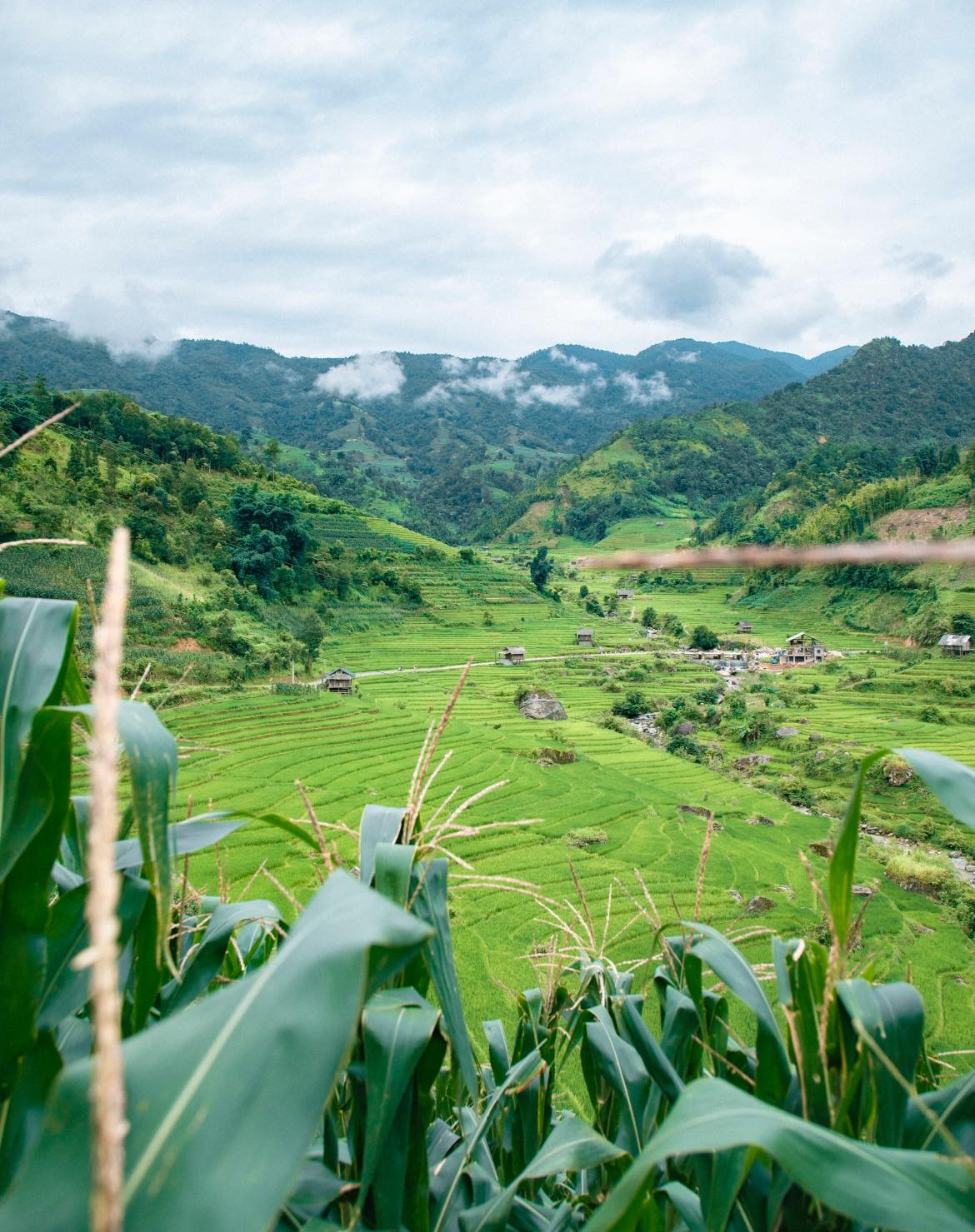 Nậm Cang Sa Pa Lào Cai