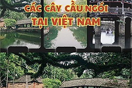 Ngoài Chùa Cầu - Hội An, Việt Nam còn có những cây cầu ngói cổ kính và nổi tiếng không kém