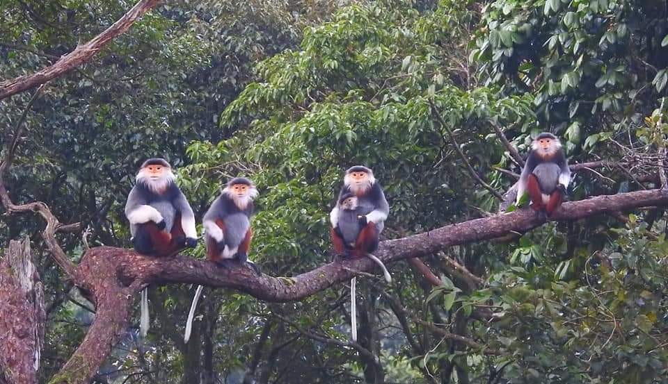 Khu rừng nguyên sinh cách thành phố Huế 40 km