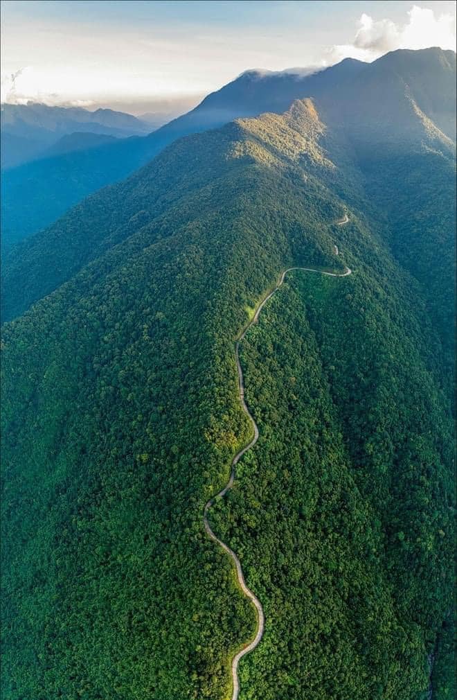 Khu rừng nguyên sinh cách thành phố Huế 40 km