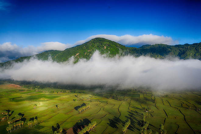 săn mây Núi Cấm