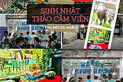 Thảo Cầm Viên hút khách dịp cuối tuần với các bữa tiệc sinh nhật đặc biệt