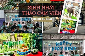 Thảo Cầm Viên hút khách dịp cuối tuần với các bữa tiệc sinh nhật đặc biệt