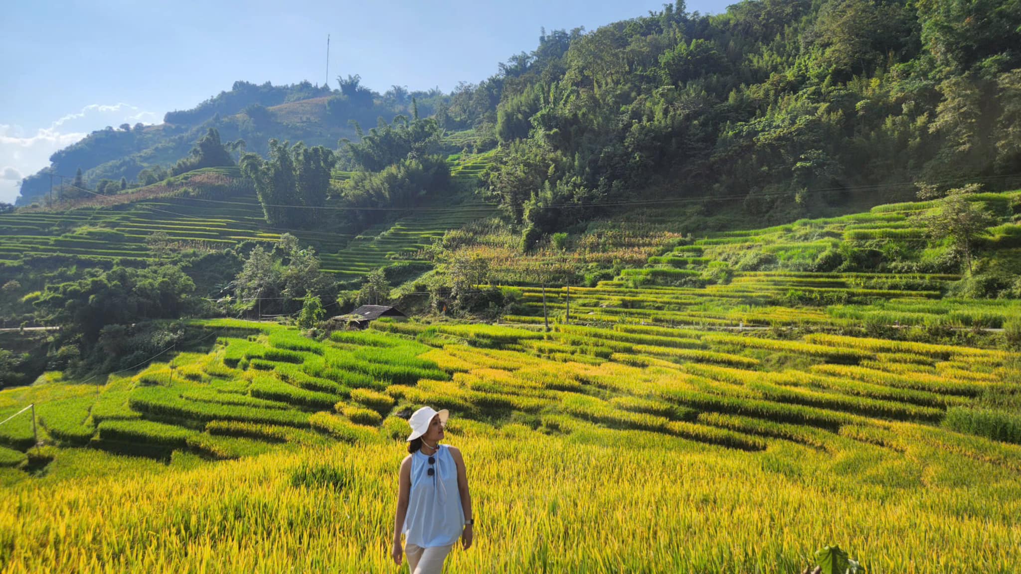 đến Y Tý check-in mùa đẹp nhất trong năm