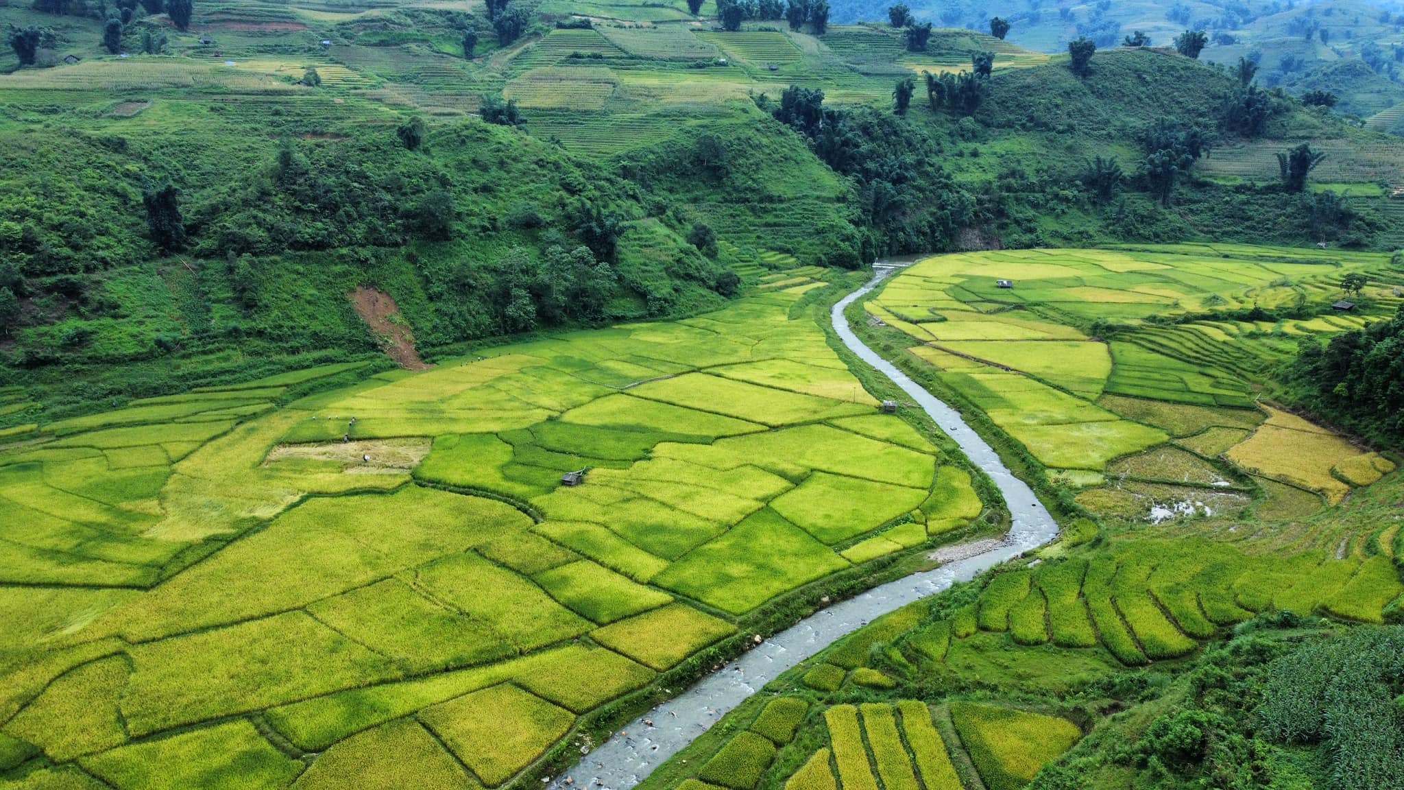 đến Y Tý check-in mùa đẹp nhất trong năm