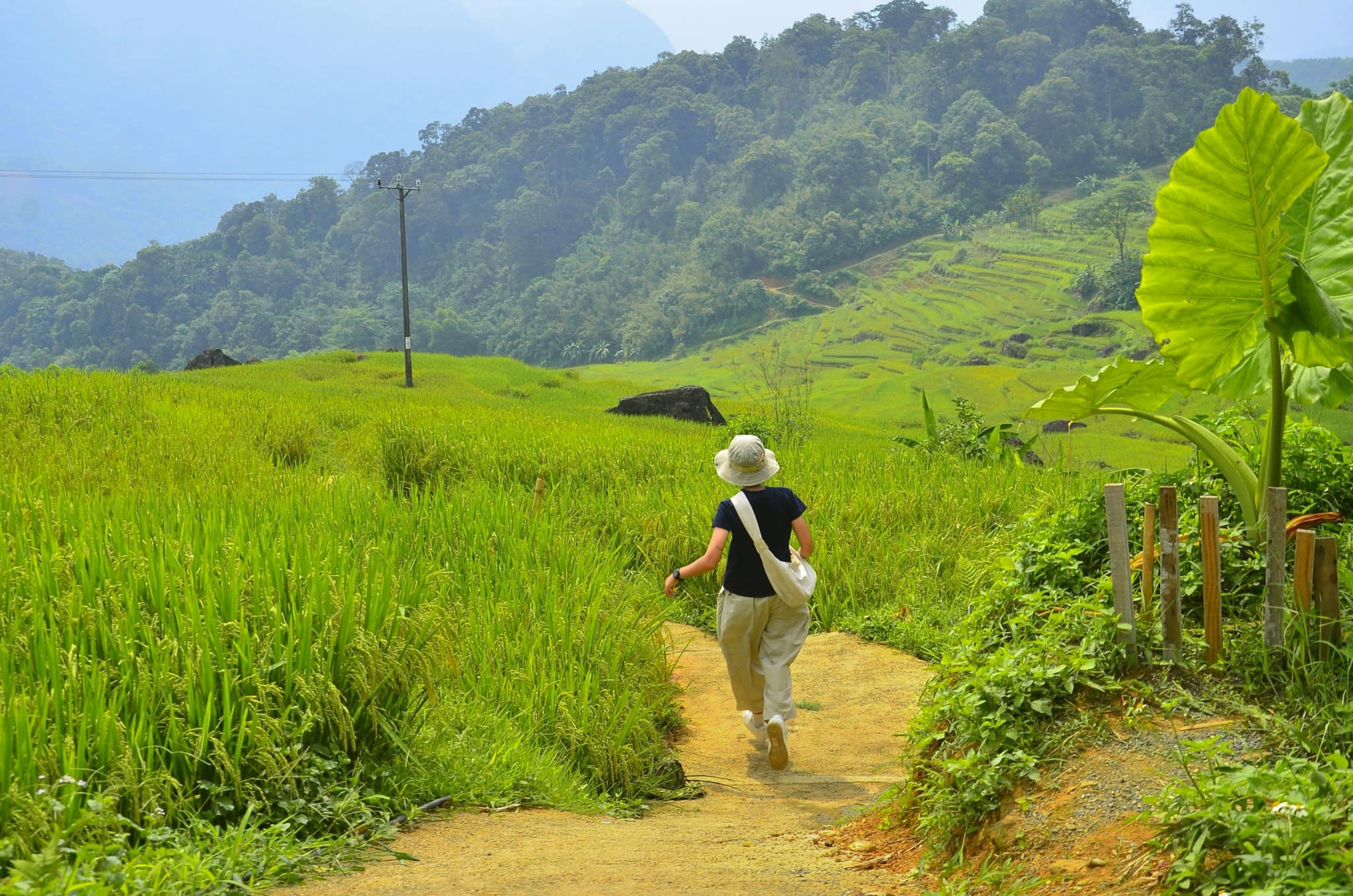 Pù Luông là cái tên không thể bỏ qua ngắm đồng lúa chín vàng 