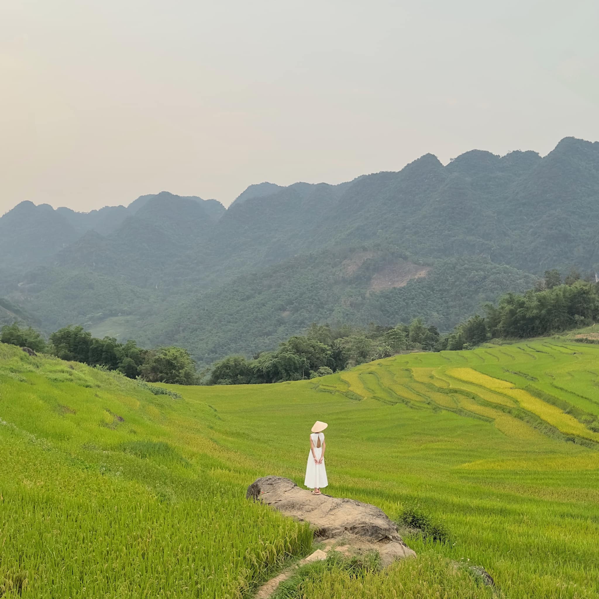 Pù Luông là cái tên không thể bỏ qua ngắm đồng lúa chín vàng 